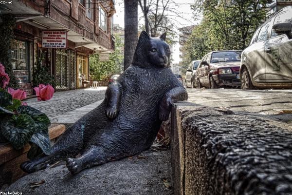 Choosing the Right Water Heater